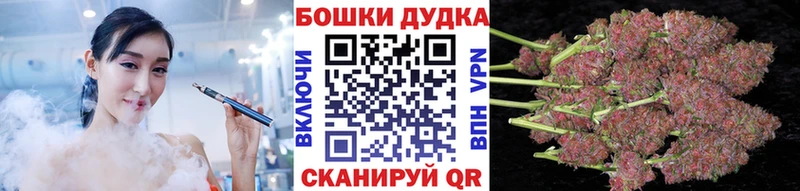 Конопля AK-47  Светлоград 